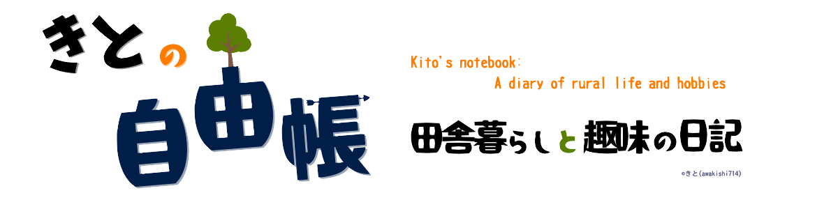 VRときどきリアル : きとのメタバース探検記